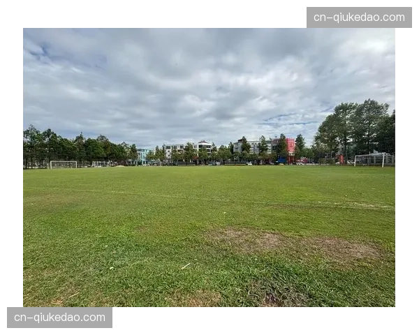 温布利球场完成决赛前最后一次草皮养护与灯光测试